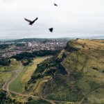 黑丝后入 bdb4gkn3i